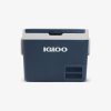 ICF 40