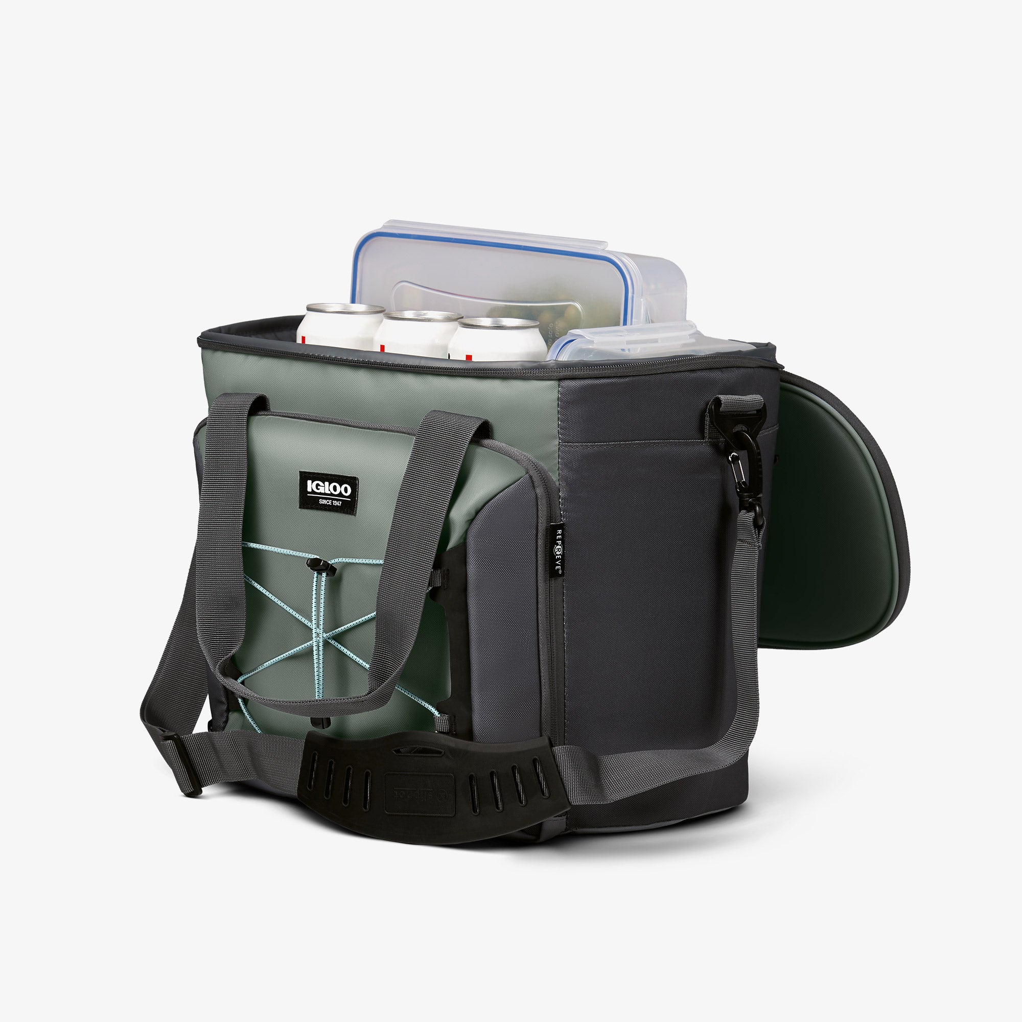 00066308_3.jpg